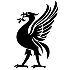 Liverbird stencil reusable for sale  IPSWICH