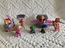 Lot paw patrol for sale  Worcester