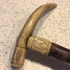 scottish stag horn for sale scottish stag horn for sale MIDDLESBROUGH