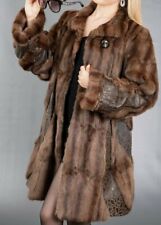 Glamorous russian squirrel for sale  Knoxville