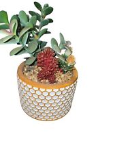 Faux succulent plant for sale  Colorado Springs