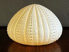 White bisque porcelain for sale  San Diego