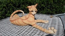 Marmalade wonderful breed for sale  CREDITON
