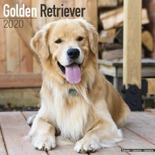 Calendrier 2020 golden d'occasion  Troyes