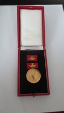 Ddr gst ehrenspange gebraucht kaufen  Oranienburg