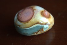 Polychrome jasper unique for sale  New Port Richey