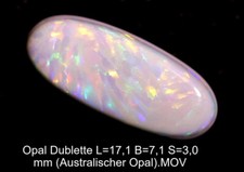 Pal dublette 1 gebraucht kaufen  Herrstein