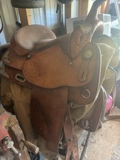 Bighorn western pleasure for sale  Sweetwater