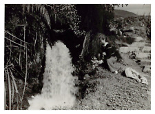 Taiwan tsao shan d'occasion Taiwan tsao shan d'occasion  Pagny-sur-Moselle