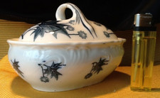 Antike villeroy boch gebraucht kaufen  Dorshm., Guldental, Windeshm.