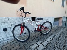 Mountain bike usato  Zandobbio