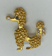 Pin chien caniche d'occasion  Vannes