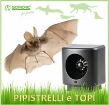 pipistrelli co usato pipistrelli co usato San Marco Evangelista