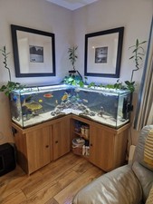 Used custom 360ltr for sale  WORCESTER PARK