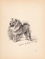 Antique chow chow for sale  Harborton