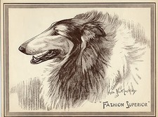 ROUGH COLLIE LOVELY HEAD STUDY POR SCOTT LANGLEY ORIGINAL 1934 PÁGINA DE IMPRESSÃO DE CACHORRO comprar usado  Enviando para Brazil