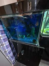 Fish tank fluval for sale  PETERBOROUGH