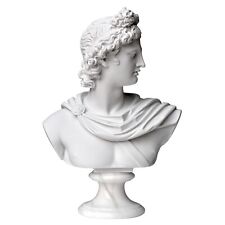 Busto apollo belvedere usato  Firenze