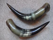 Vintage animal horns for sale  READING