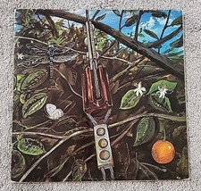 Dragonfly -  1968 Megaphone MS-1202 Jacket EX- Vinyl NM RARE Record Self-Titled  comprar usado  Enviando para Brazil