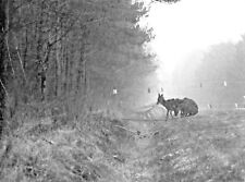 Photo chasse panneautage d'occasion  Mer