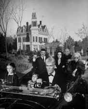 Addams family cast for sale  USA