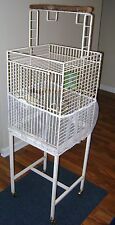 Small bird parrot for sale  Machesney Park