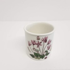 Vintage portmeirion botanic for sale  HOLSWORTHY