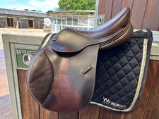 John whitaker pony for sale  WELLINGTON