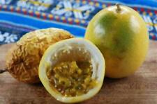 Fruit passion jaune d'occasion  Expédié en France