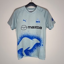 Autêntica Camisa de Treinamento Masculina Puma North Melbourne Cangurus Pequena AFL Tasmânia comprar usado  Enviando para Brazil