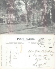 Woodland scene chislehurst for sale  ROSSENDALE