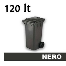 Cassonetto pattumiera bidone usato  Italia