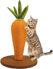 Cute carrot cat for sale  Brooksville