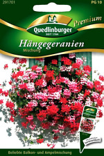 Hängegeranien mischung bunte gebraucht kaufen  Oschersleben (Bode)