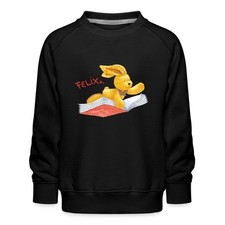 Felix hase einem gebraucht kaufen  Leipzig