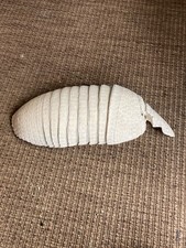 Banded armadillo shell for sale  BRIGHTON