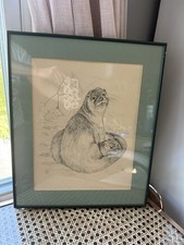 framed sea otter for sale framed sea otter for sale Rochester