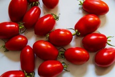 San marzano tomatoes for sale  GLOUCESTER