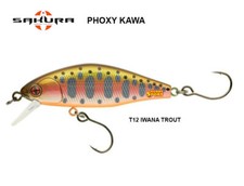 Sakura phoxy kawa usato  Frosinone