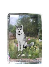 Akita,Akita Inu - Cristallo Con Uno Hundebild,Immagine IN Vetro,Moderno, usado comprar usado  Enviando para Brazil