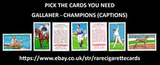 Gallaher champions pick for sale  TAMWORTH
