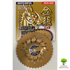 Disco golden universale usato  Camaiore