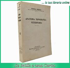 Libro illustrato zimmerl usato  San Germano Chisone
