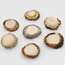 Rosen stück rose gebraucht kaufen Rosen stück rose gebraucht kaufen  Nagel