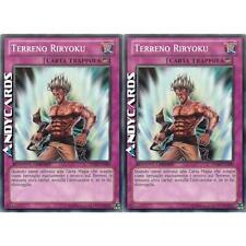 Terreno riryoku comune usato  Ravenna