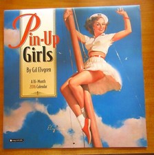 Pin kalender 2016 gebraucht kaufen  Bochum