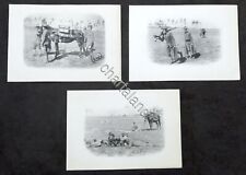 Militaria lotto stampe usato  Vimodrone
