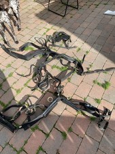 carriage driving ponies for sale  STANLEY