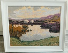 Spaunton moor sheep for sale  BRISTOL